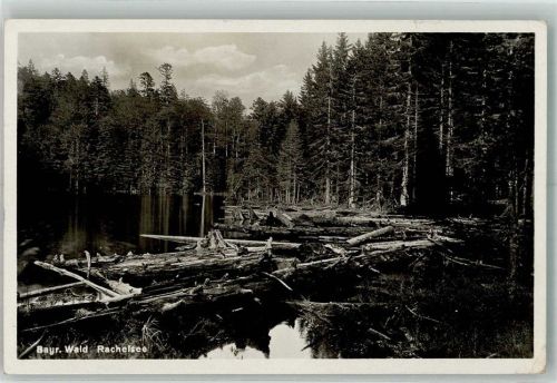 Klingenbrunn Rachelsee