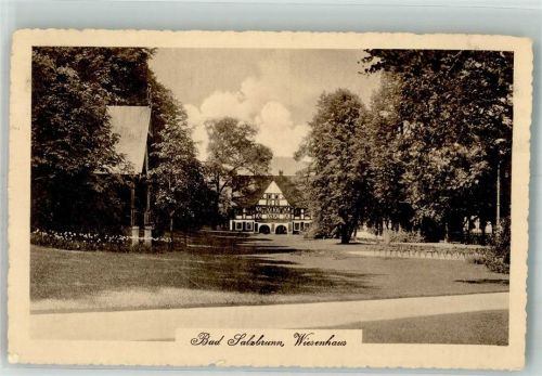 Bad Salzbrunn 1916 Wiesenhaus