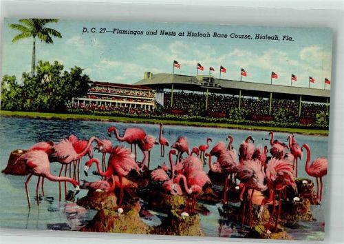 Miami 1949 Flamingos Hialeah Race Course
