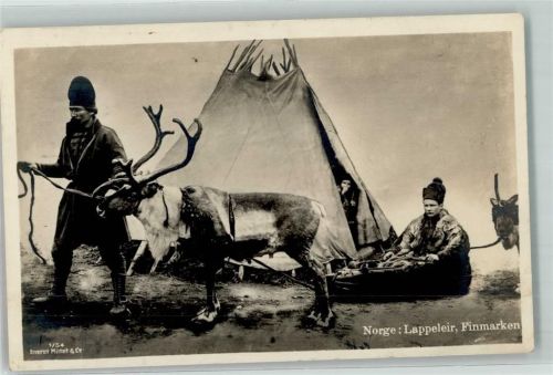 Rentiere Lappland Volkstypen AK Tier 1927 Foto AK