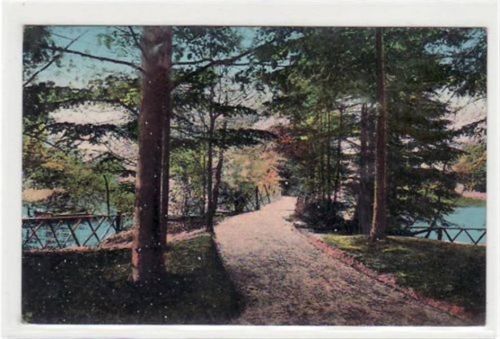 Gruss von der Deutschen Eiche im Vareler Walde gelaufen, 1916. Gute Erhaltung.