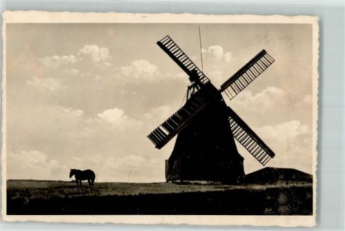 Amrum Mühle bei Nebel Pferd Windmühle