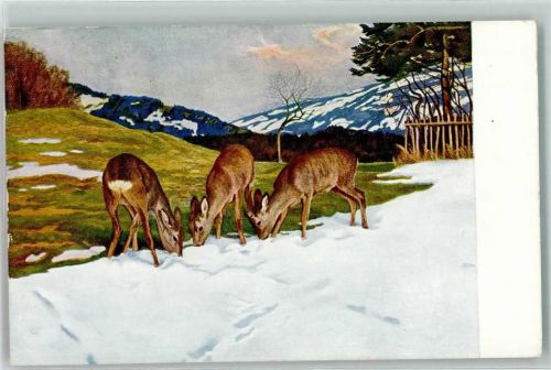 Serie II Nr. 1 sign. Eug. Ludwig Hoeß - Das erste Grün am Schneerand - Rehe Jagdtiere AK