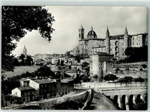 Urbino