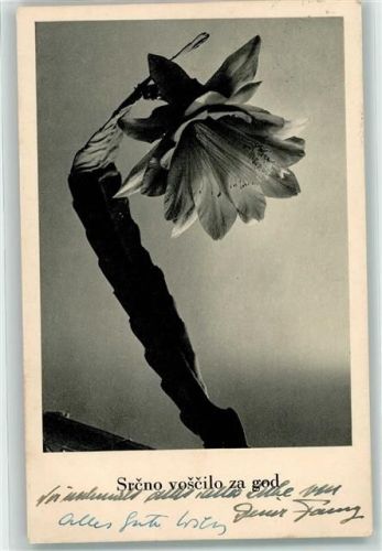 1941 Srcno voscilo za god - Blüte AK
