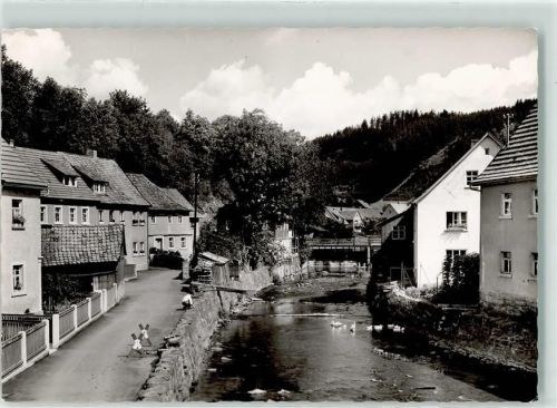 96349 W8645 Steinwiesen - Gänse