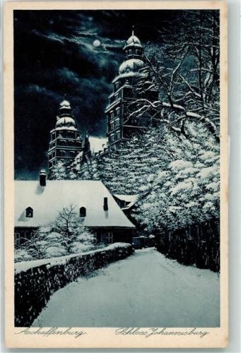 63739 W8750 Aschaffenburg Mondschein Winter Schloss Johannisburg