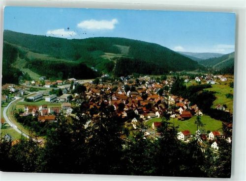 Steinwiesen