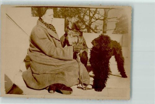 Golden Retriever Frau