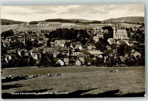 Schirgiswalde Rinderweide