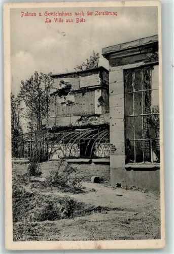 La Ville-aux-Bois 1915 Palmen u. Gewächshaus nach der Zerstörung