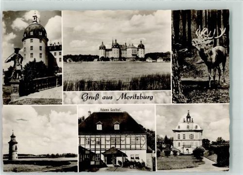 Moritzburg Barockschloss Moritzburg Gasthaus Adams Hirsch