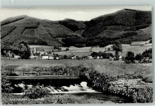 Saalhausen