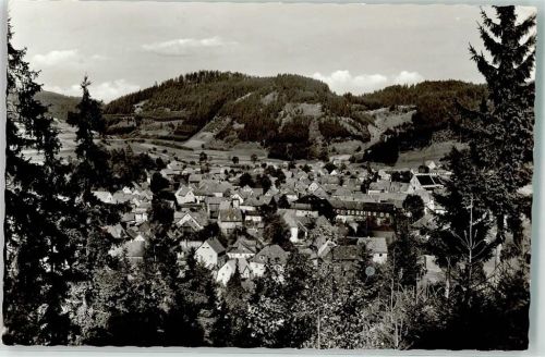 Steinwiesen