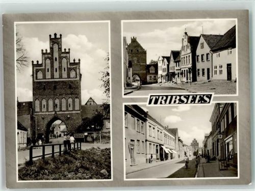 Tribsees