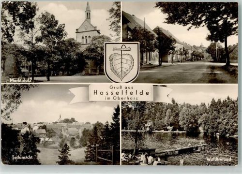 Hasselfelde Marktplatz Schwimmbad Wappen