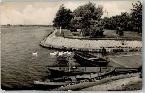 Ketzin Havelpromenade Entenfamilie Ruderboote