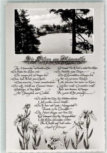Mummelsee Gedicht Die Lilien am Mummelsee