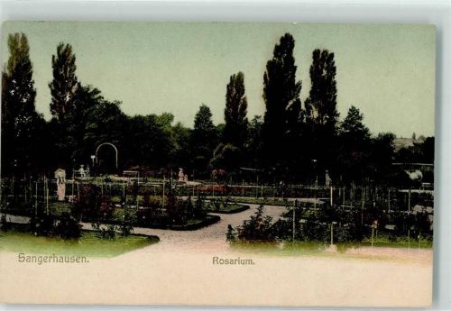 Sangerhausen 1907 Rosarium