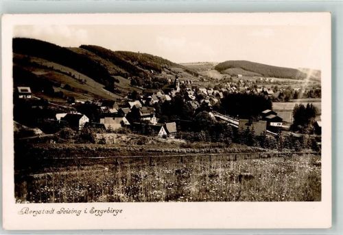 Geising mit Ev. Stadtkirche