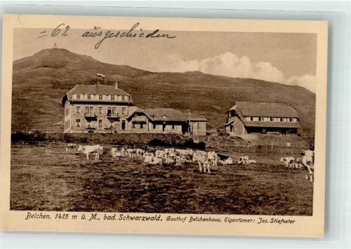 Belchen Weidende Rinder vor dem Gasthaus Belchenhaus