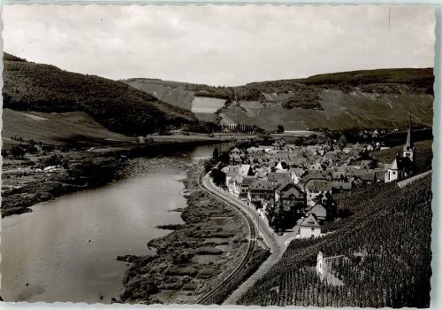 Zeltingen Ort handschriftlich Foto keine AK