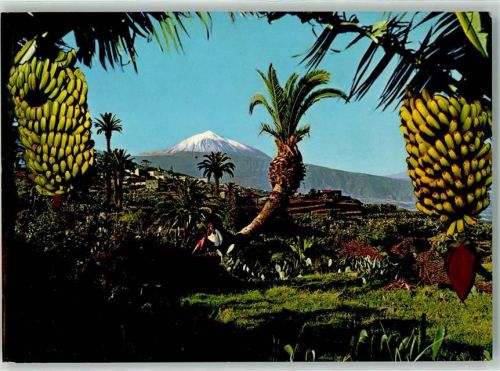 Santa Cruz 1972 Teide