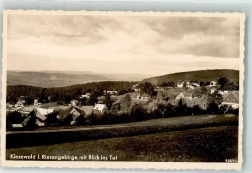 Kiesewald Riesengebirge