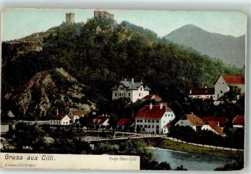 Celje Burg