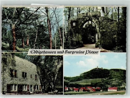 Eddigehausen Burgruine Plesse Haupttor Rittersaal Eibenwald