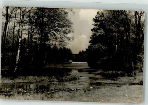 Tharandt Seerenteich am Tharandter Wald
