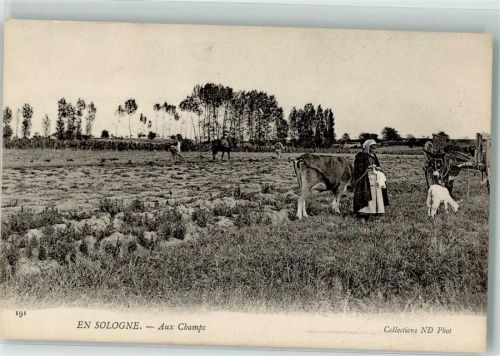 Mur-de-Sologne Ziege Bauern