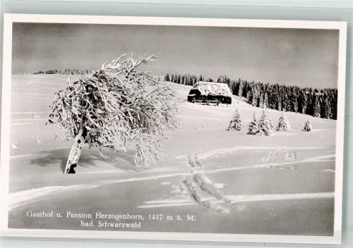 Bernau Winter Gasthaus u. Pension Herzogenhorn