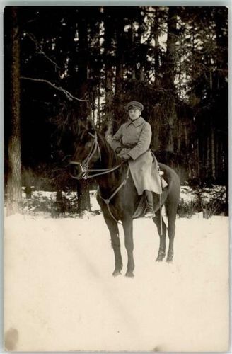 Pferd Winter