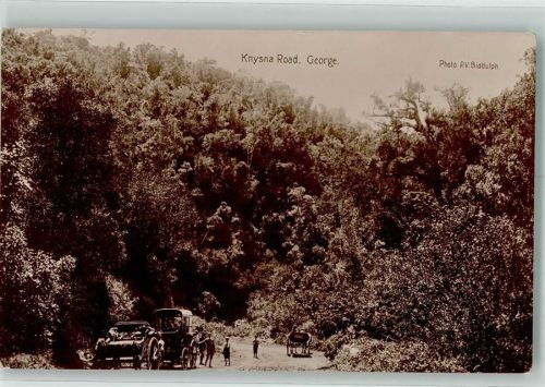 Plettenberg Bay Knysna Road George Foto Biddulph