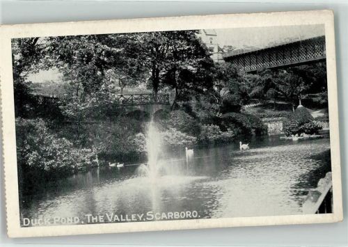 Scarborough Duck Pond