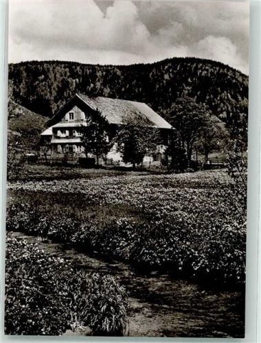 Menzenschwand Pension Margarete