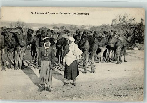 Tracht Kamele