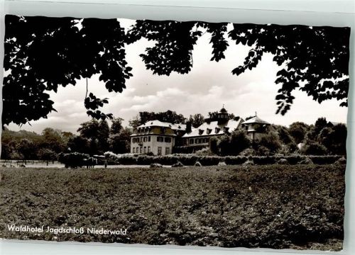 Niederwald Waldhotel Jagdschloss Niederwald Fotograf Zeitz