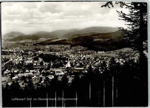 Zell
