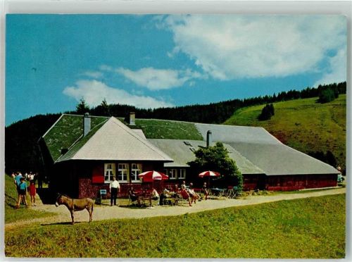 Untermünstertal Gasthaus Kälbelescheuer Esel