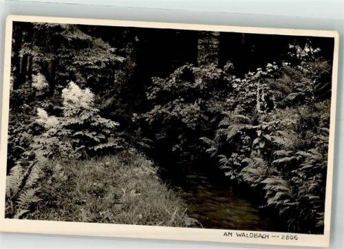 Altenberg 1930 Am Waldbach Ort lt. Stempel
