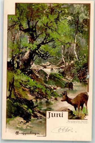 Juni Reh Monatsgrüße Serie II Verlag M. Seeger Guggenberger, T. Künstlerkarte