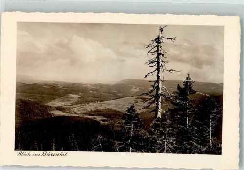 Bärental Talansicht Feldberg
