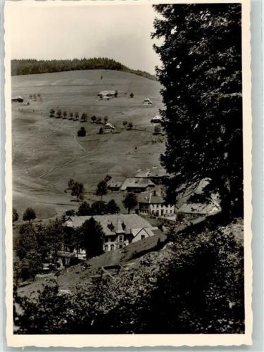 Muggenbrunn Gasthaus Grüner Baum