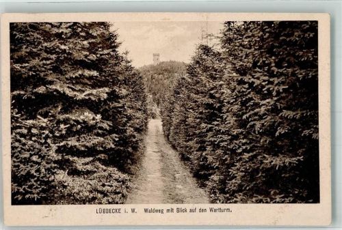 Lübbecke Waldweg Wartturm Aussichtsturm