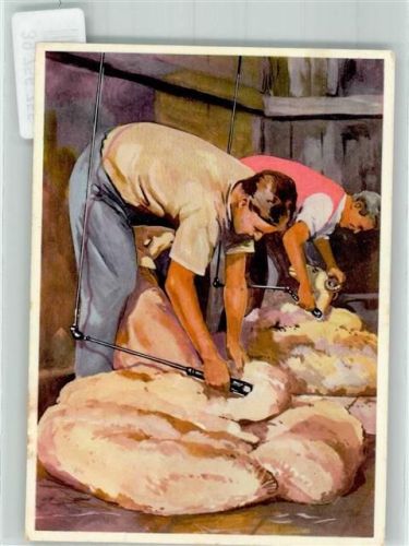 Sanella-Bilder Sammelwerk Mittel- und Südamerika Bild 44 Schafschur Patagonien