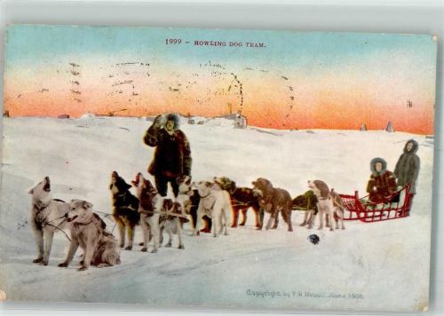 Victoria 1913 Winter Howling Dog Team Schlittenhunde Ort lt. Stempel