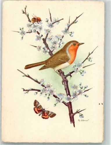 Jungfernkind Drosselvogel Hummel sign. Gönner Ph. FK Nr.1965