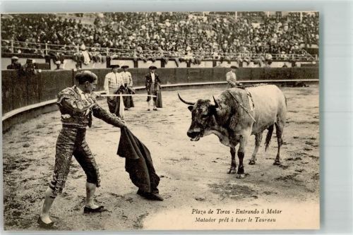 Paza de Toros Matador bereit den Stier zu töten